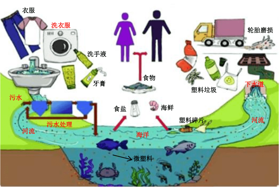 微塑料:人类的"塑料友情"_磨损_环境_轮胎