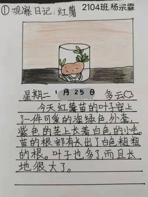 虎娃爱劳动图片