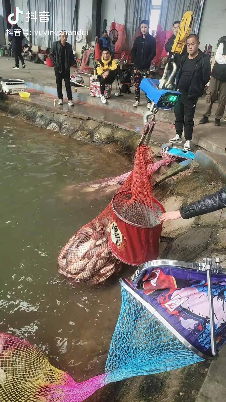 坑冠拿下看看什么叫爆护后面围满了黑坑黑坑钓鲤鱼饵料配方