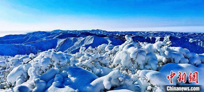 瑞雪|春雪后的六盘山 美若山水画卷