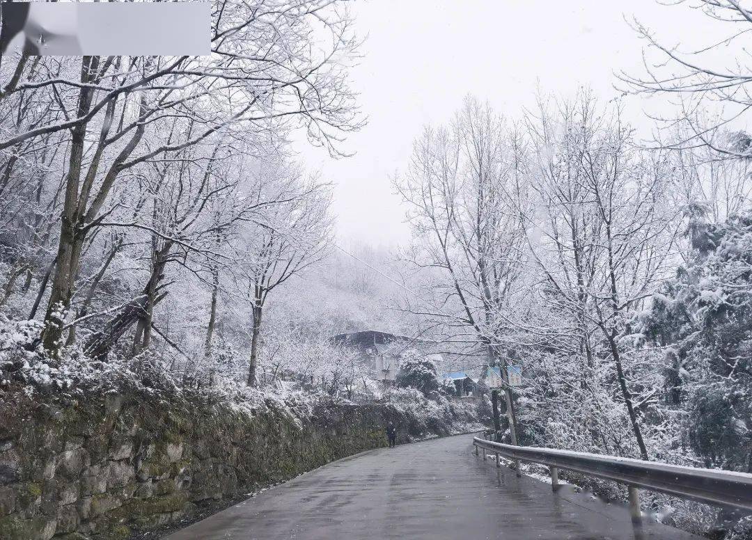 瑞雪兆丰年巴中今天的雪