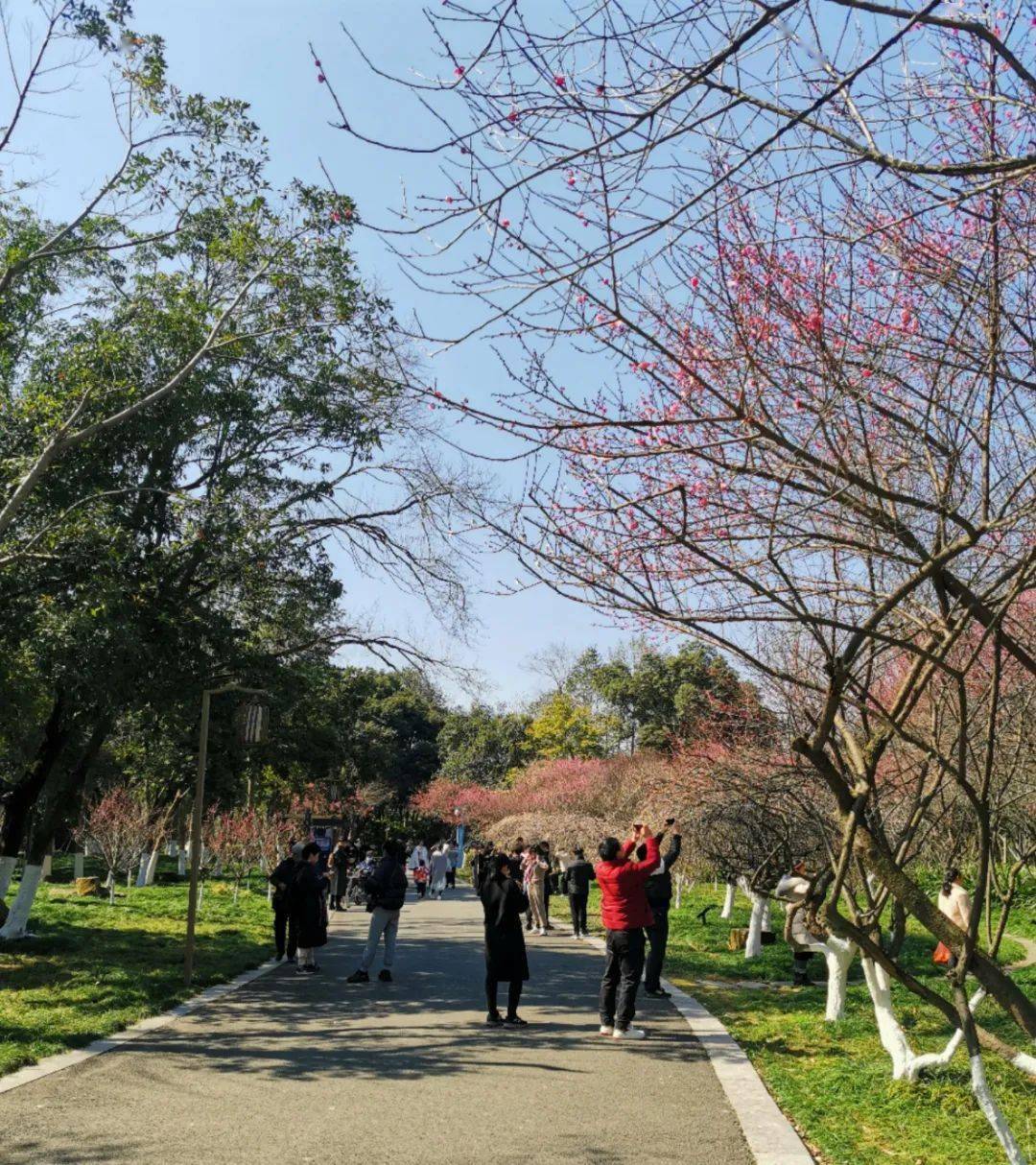 溫州樂園春節期間,全市a級旅遊景區紛紛推出以迎虎年為主題,與民俗