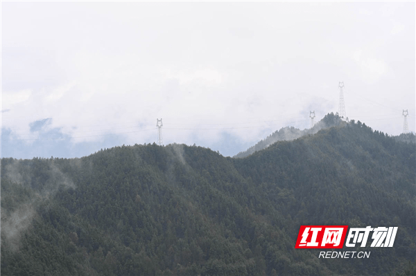 蓝山|湖南蓝山：冰凌雾凇惹人醉