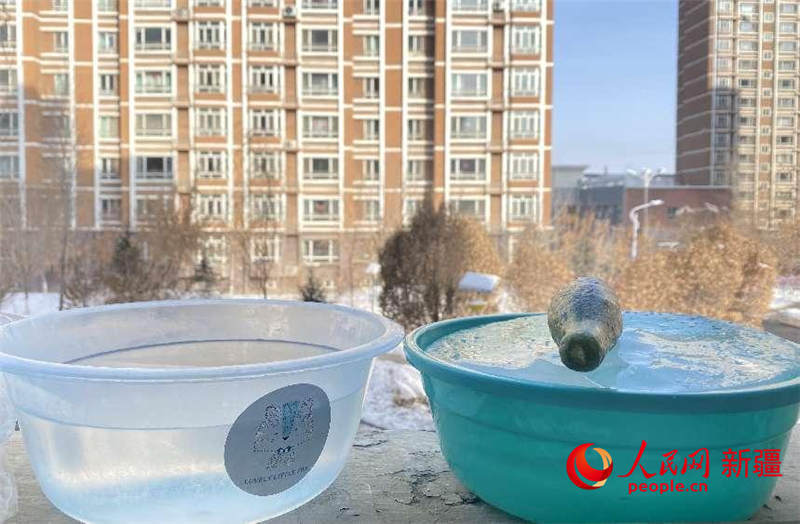 新疆一男子自制“冰壶”享冬趣：再做几个去赛里木湖玩