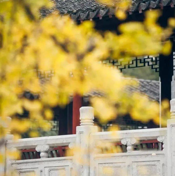 每日禅语：以心制境，万事可成！_逆境_人生_顺境