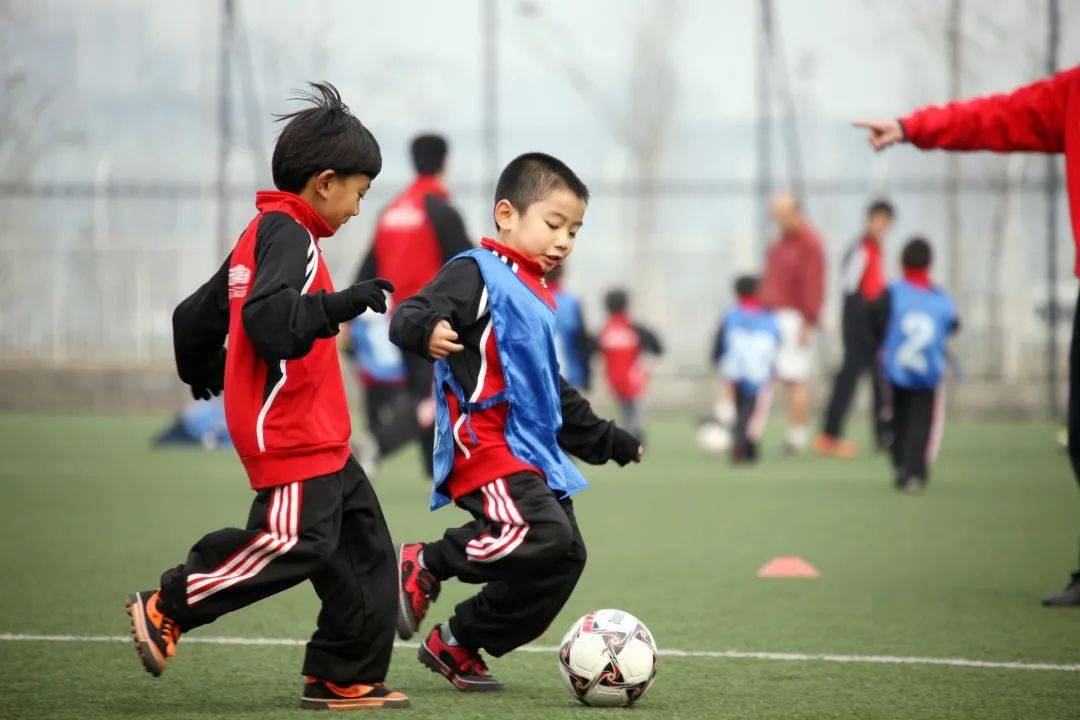 中国青少年足球联赛赛事组织方案出炉陈戌源任赛事主任，全国青少年足球联赛冠军