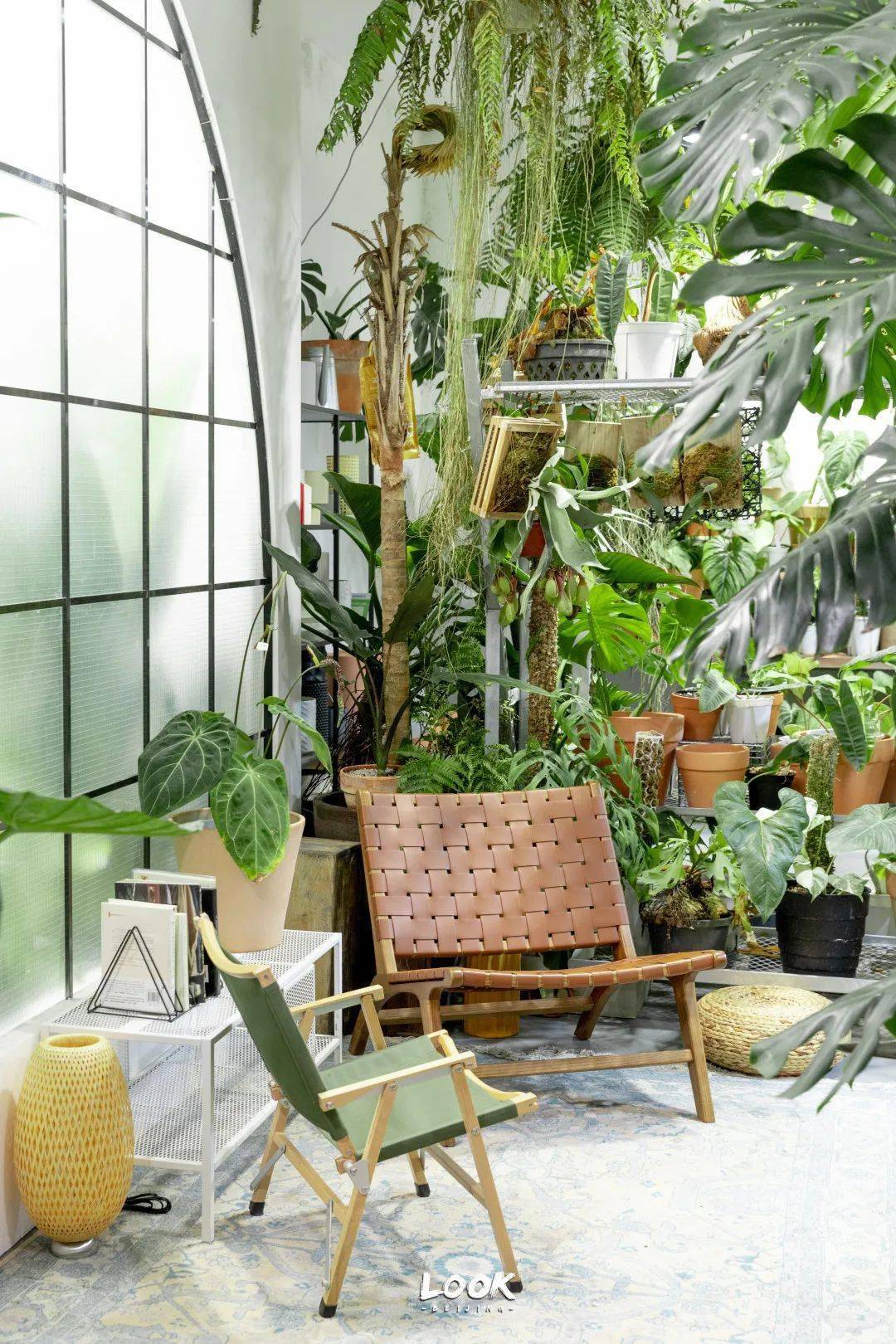 90后打造北京室内最大热带雨林北京小众职业②北京look