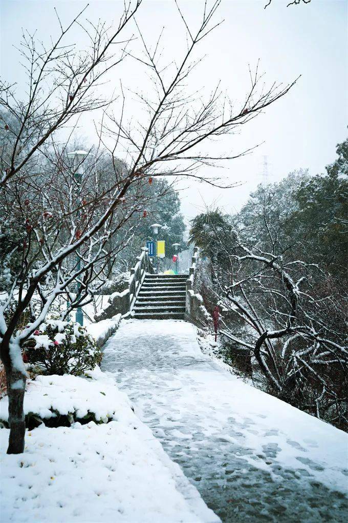 偶练大厂下雪图片图片