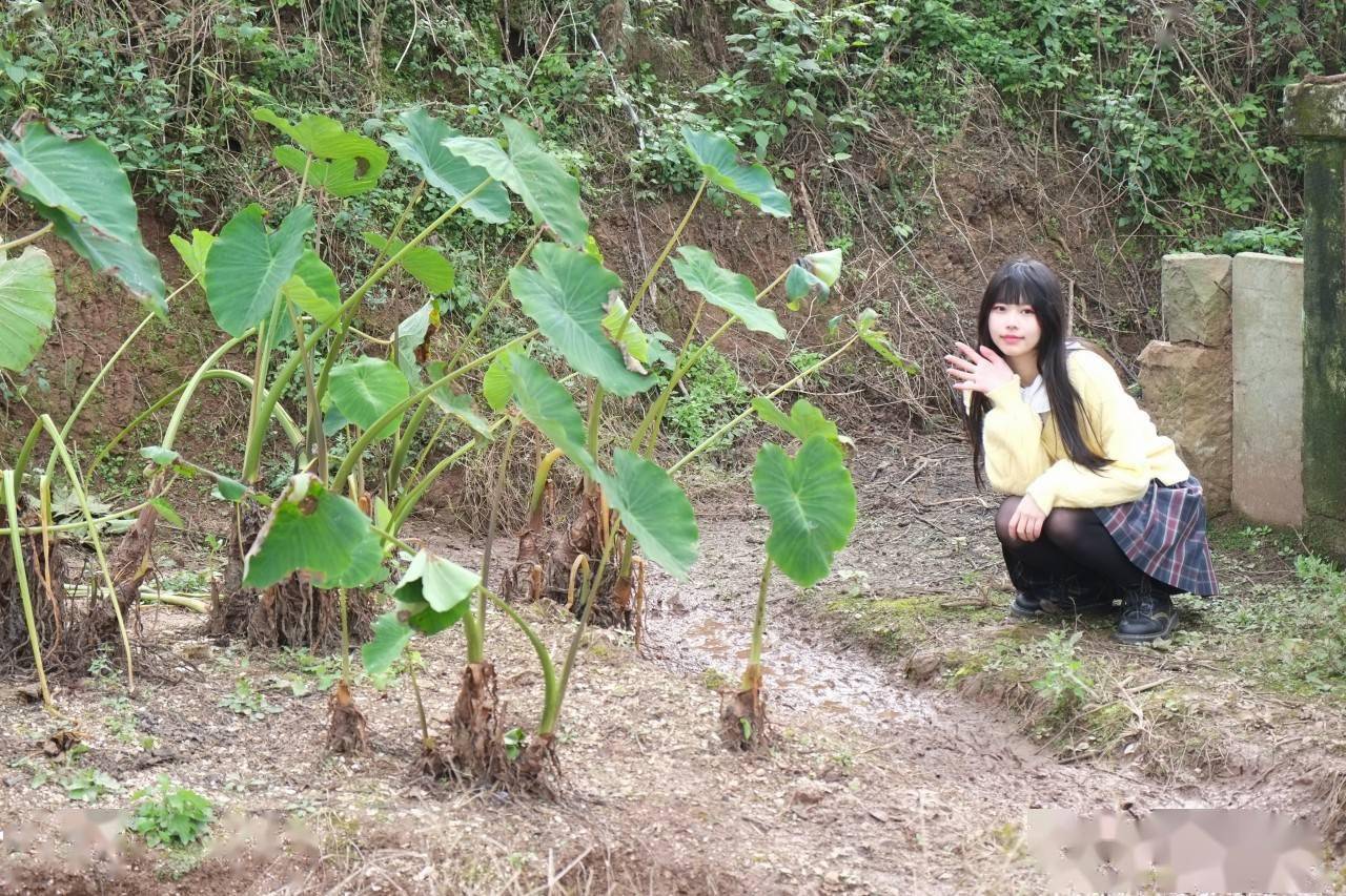 飞翔|飞翔的魔女～木幡真琴cosplay