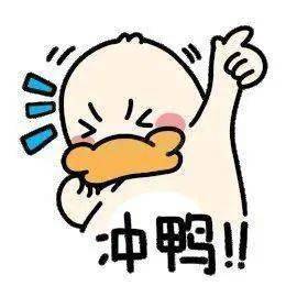 d81ff58c5e80490894c704198a240d1a.jpeg