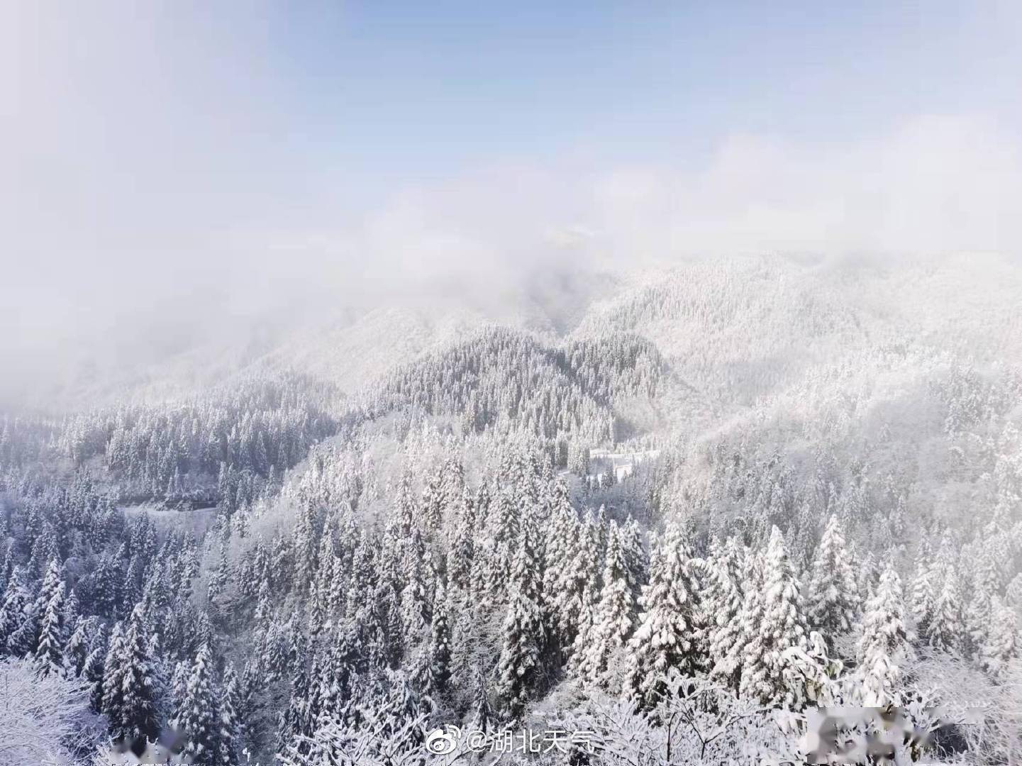 湖北恩施坪坝营的美丽雪景好似仙境