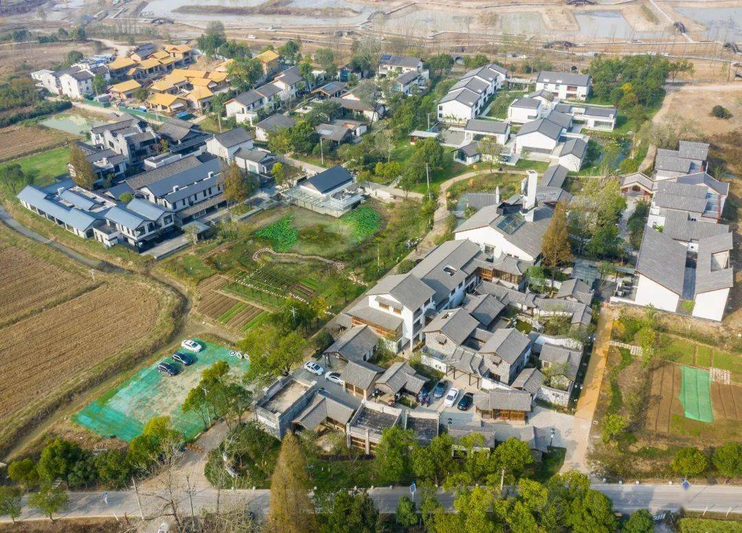 在希望的田野上系列报道163美丽合肥养人之城带您走进包河区圩美磨滩