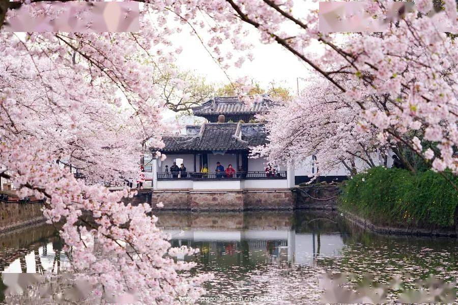 三月61 江南之恋7日一价全含双飞直达纯玩(3月18日-3月24日)_景区