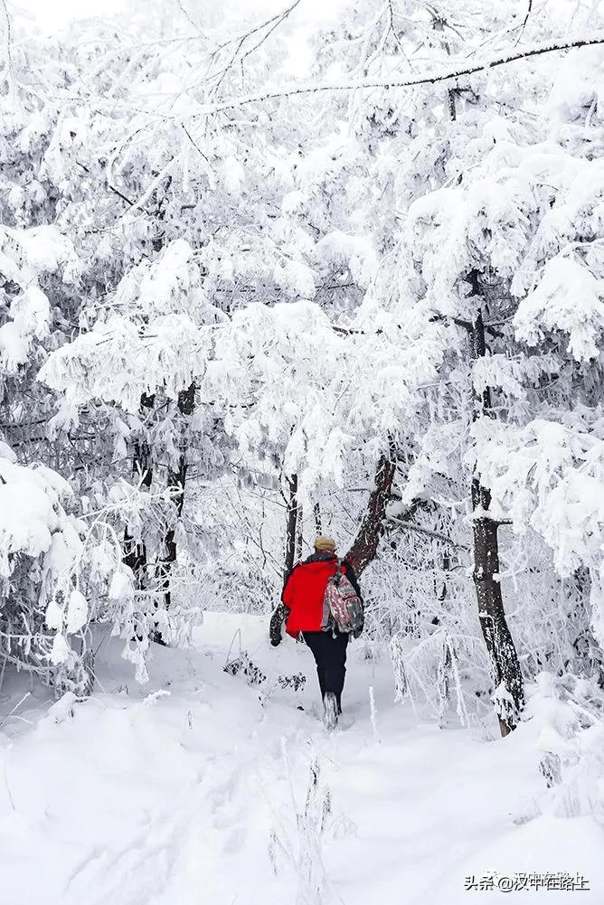 漢中大漢山近郊的極致雪景