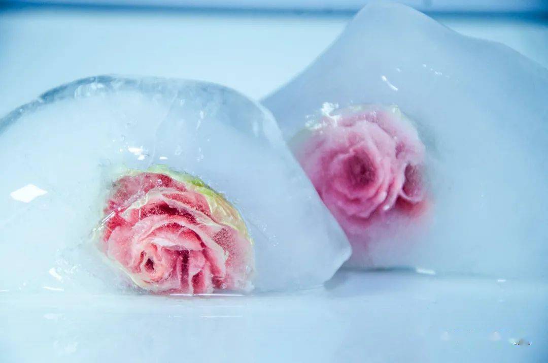 迟子建 寒夜生花 霜花 世界 玻璃窗