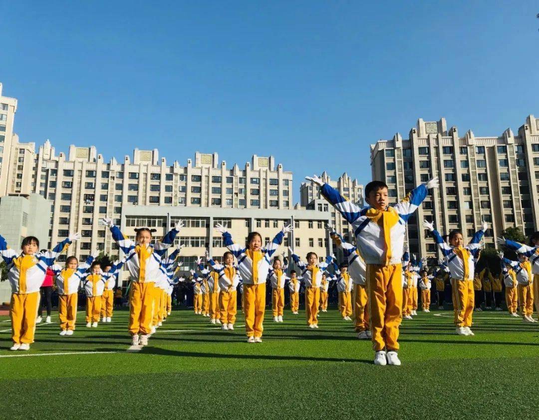 枫树山大桥小学简介图片