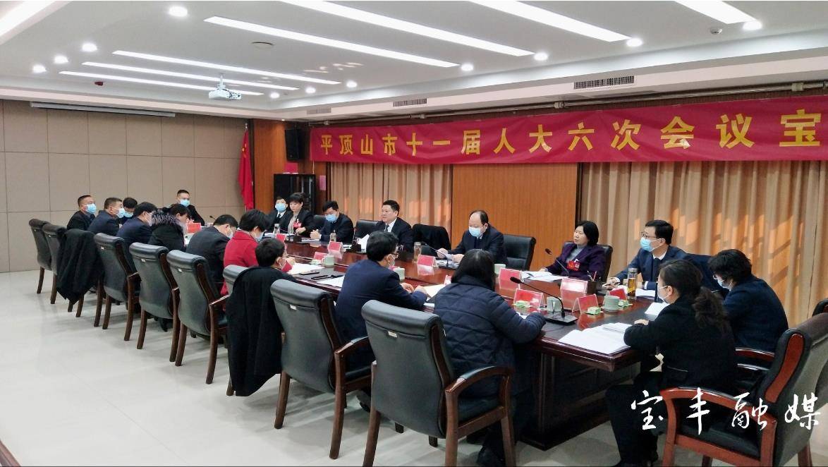 平顶山市十一届人大六次会议宝丰代表团审议市政府工作报告