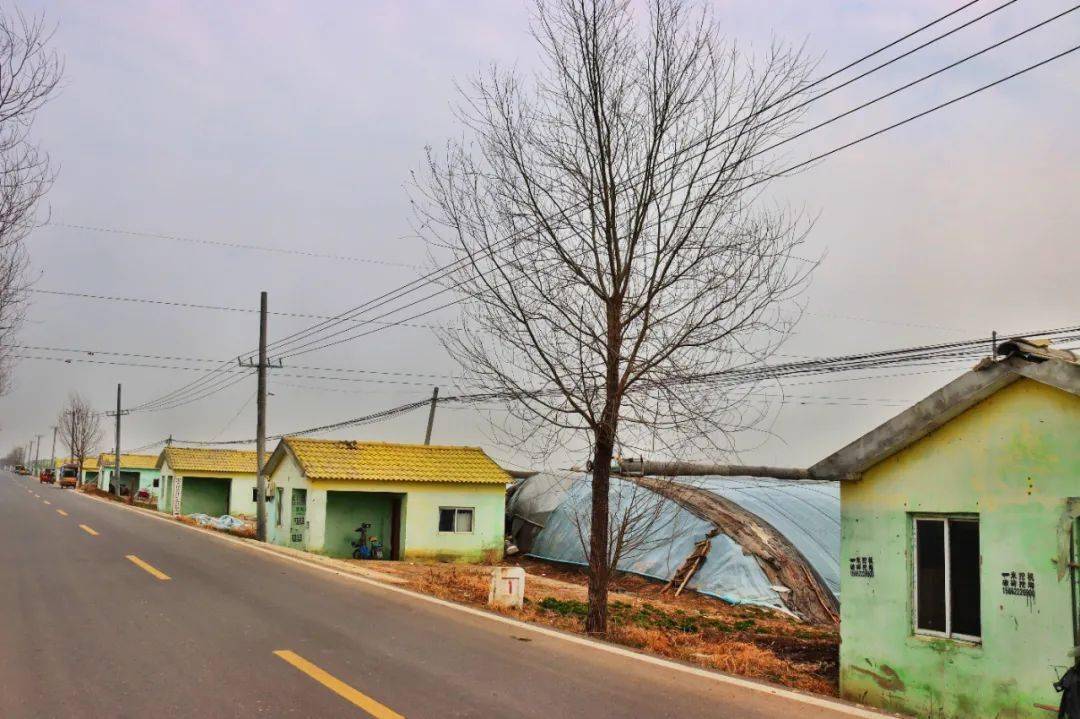 泗县长沟镇人民阔步走在乡村振兴发展道路上,描画了泗县乡村特色经济