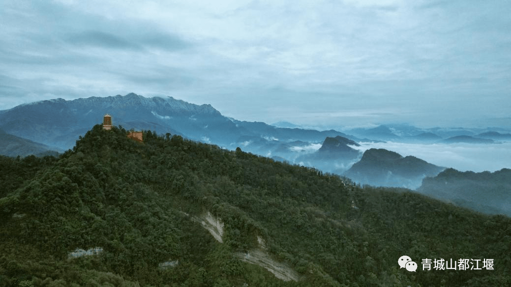 景区|2月12日，青-都熊猫谷年卡首发，都江堰带你实现“冰墩墩”自由！