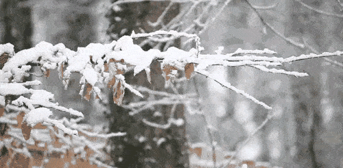 什么时候开始上冻 174840fb447c44ae99ffa47c57782726.gif