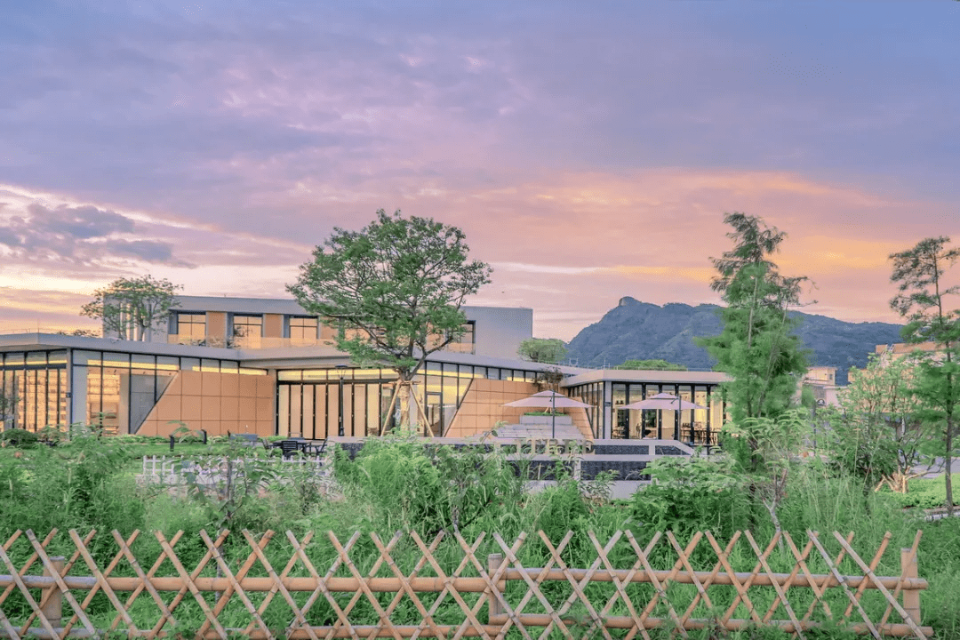 藏在广东韶关丹霞山下古树乡村秘境里的民宿丨爱树丹霞山苑