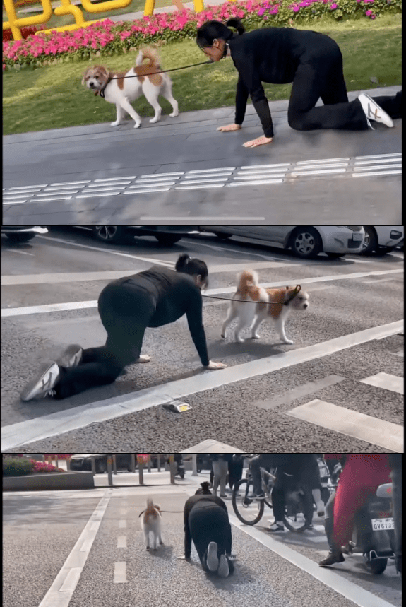 字母圈都玩的这么花嘛?还是大冒险啊?