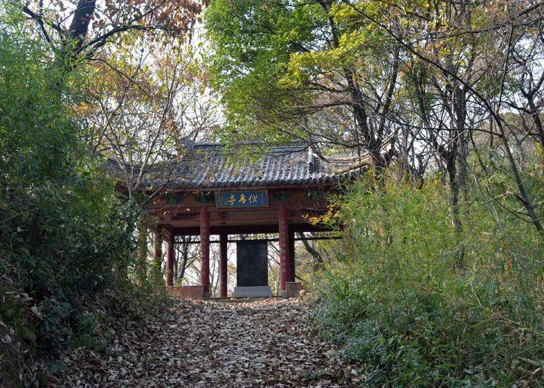 据志载,古时有伏虎岩,伏虎台,虎跑泉,伏虎亭,啸月亭诸景.