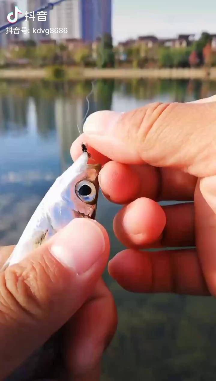 巨餐太聪明了路亚户外钓鱼户外路亚路亚飞蝇钩入冬钓鱼指南