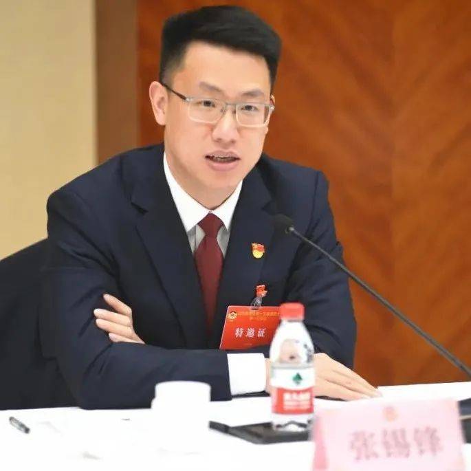 张锡锋参加县人大罗星代表团审议和县政协工商联界别组讨论_嘉善_发展_建设