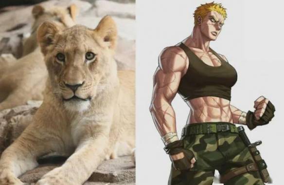 冷门动物拟人这么不萌的品种都可以的吗