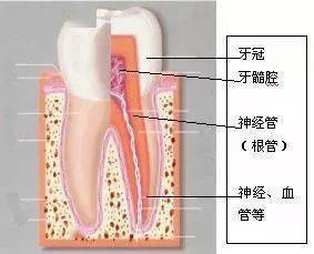 牙缝发炎怎么办