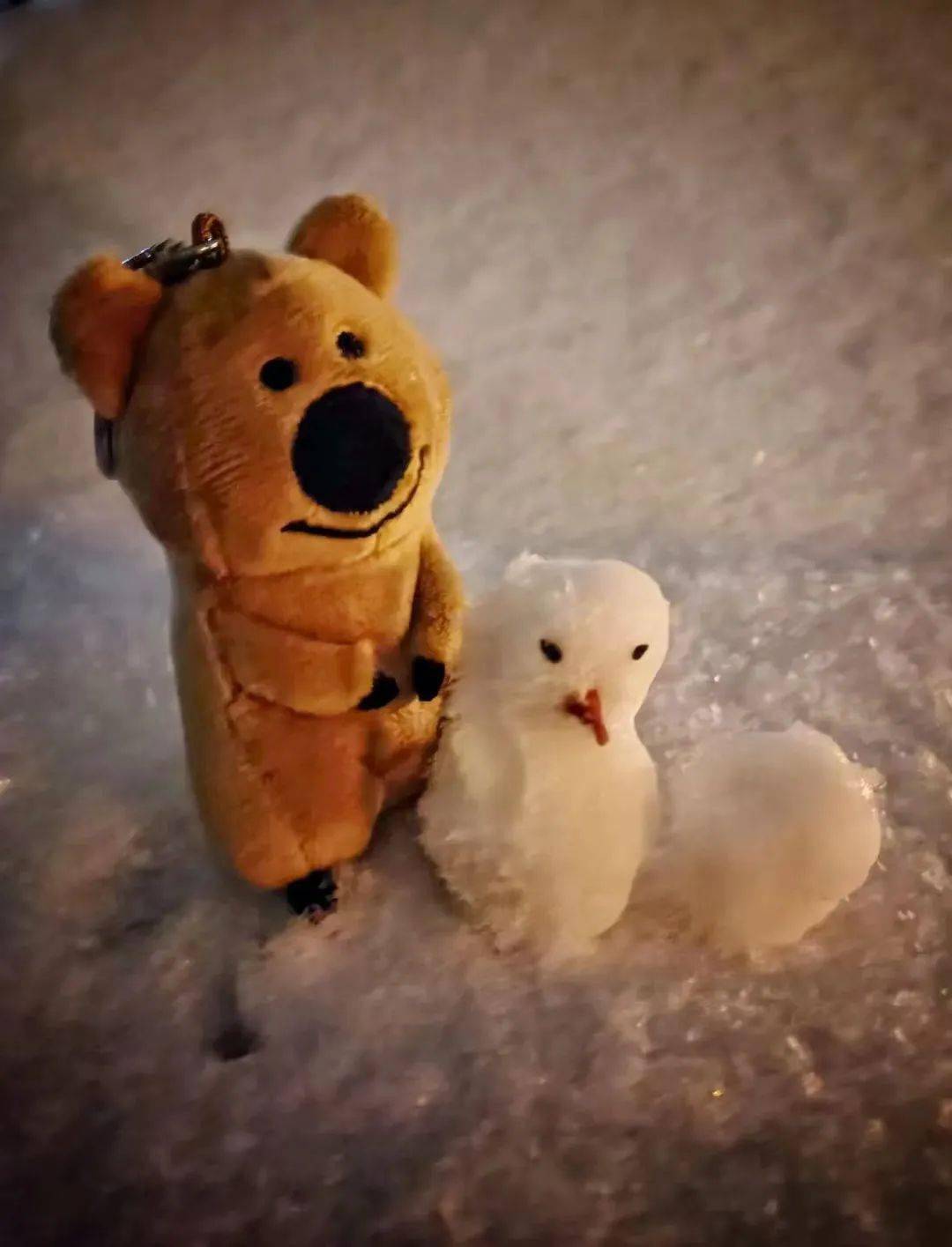 津城即景|雪绒绒冰墩墩 拍张雪花都是爱的形状