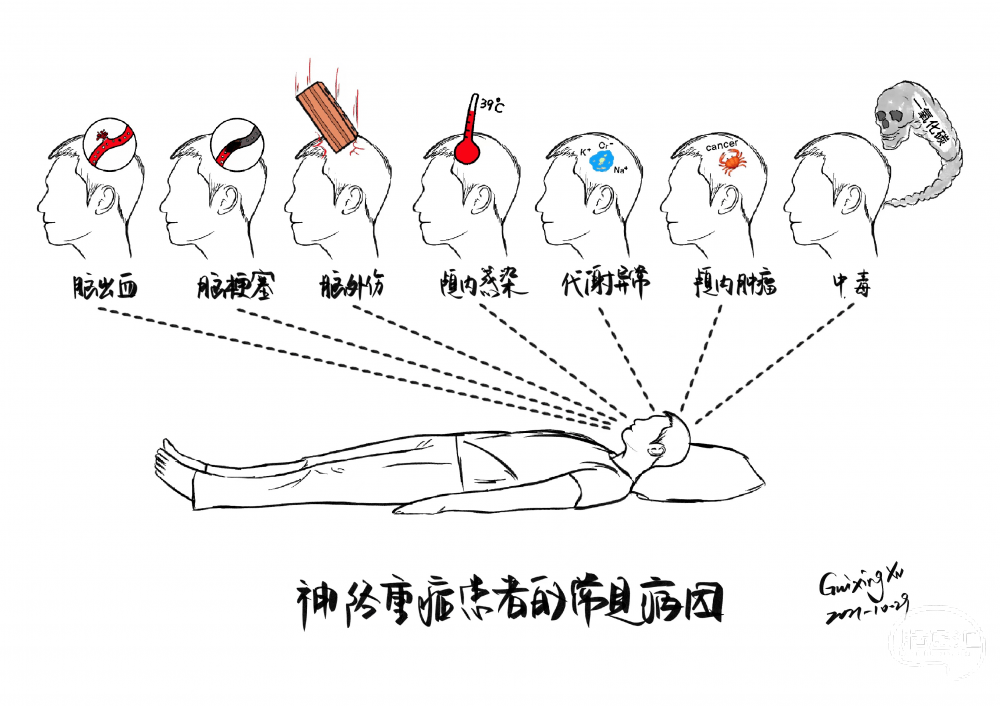 颅神经查体图片