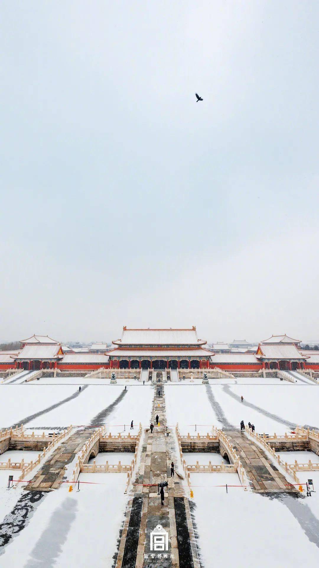 北京迎虎年初雪_故宫雪景图来了_之城