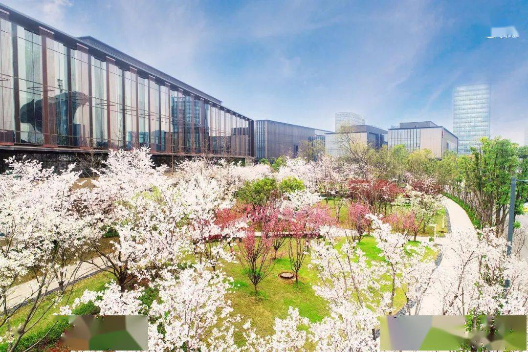 实习华为武汉研究所hr实习生招聘启动