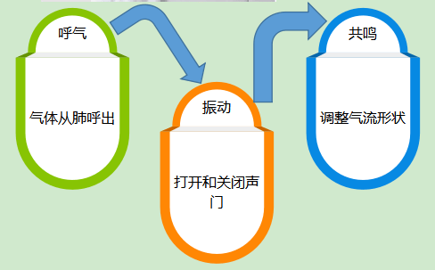 声音|【医文医话】康复中心：术后嗓音嘶哑，专业康复让您重拾信心