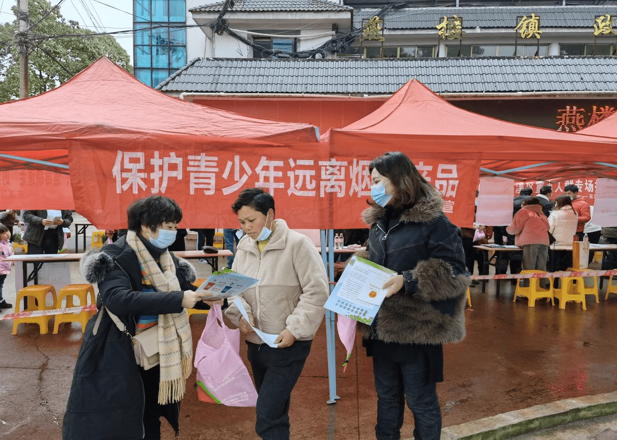 花溪区燕楼镇招聘促就业禁毒保平安