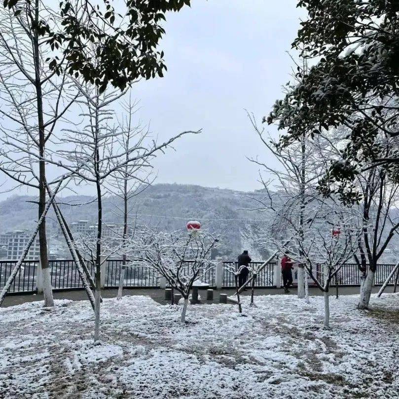 明日起,我市再迎雨雪天气……_影响_气象_防范
