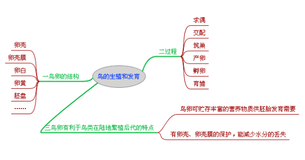 初中生物人教版八年级生物下册思维导图汇总