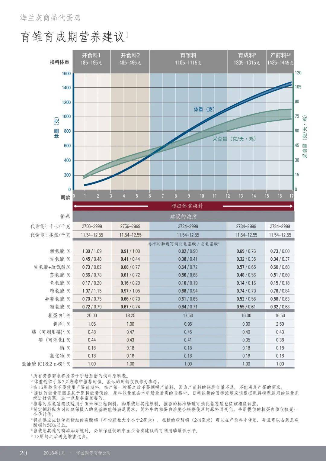 海兰灰饲养管理手册图片