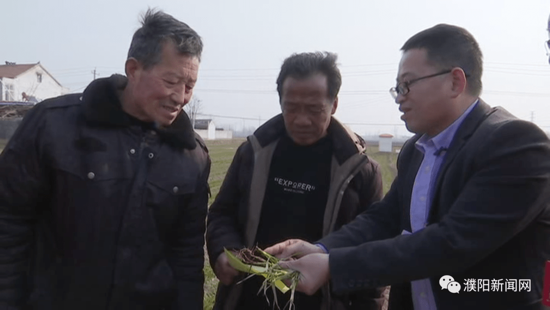 濮阳县胡状镇张寨村农业种植合作社负责人 张得民:农业部门技术员往我