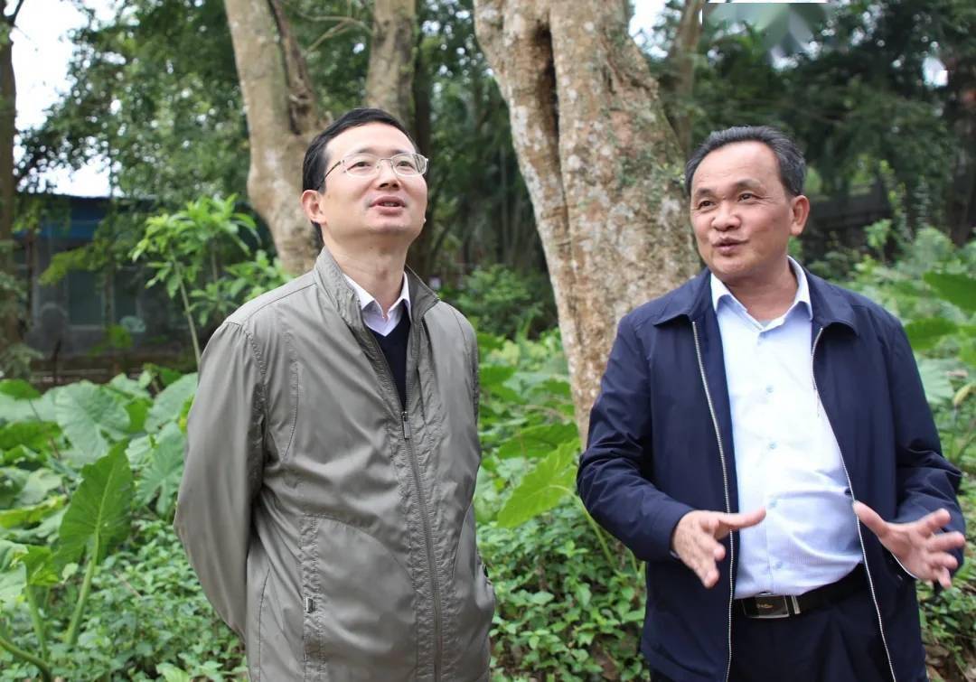 周军平调研垦地融合工作_发展_西联_儋州