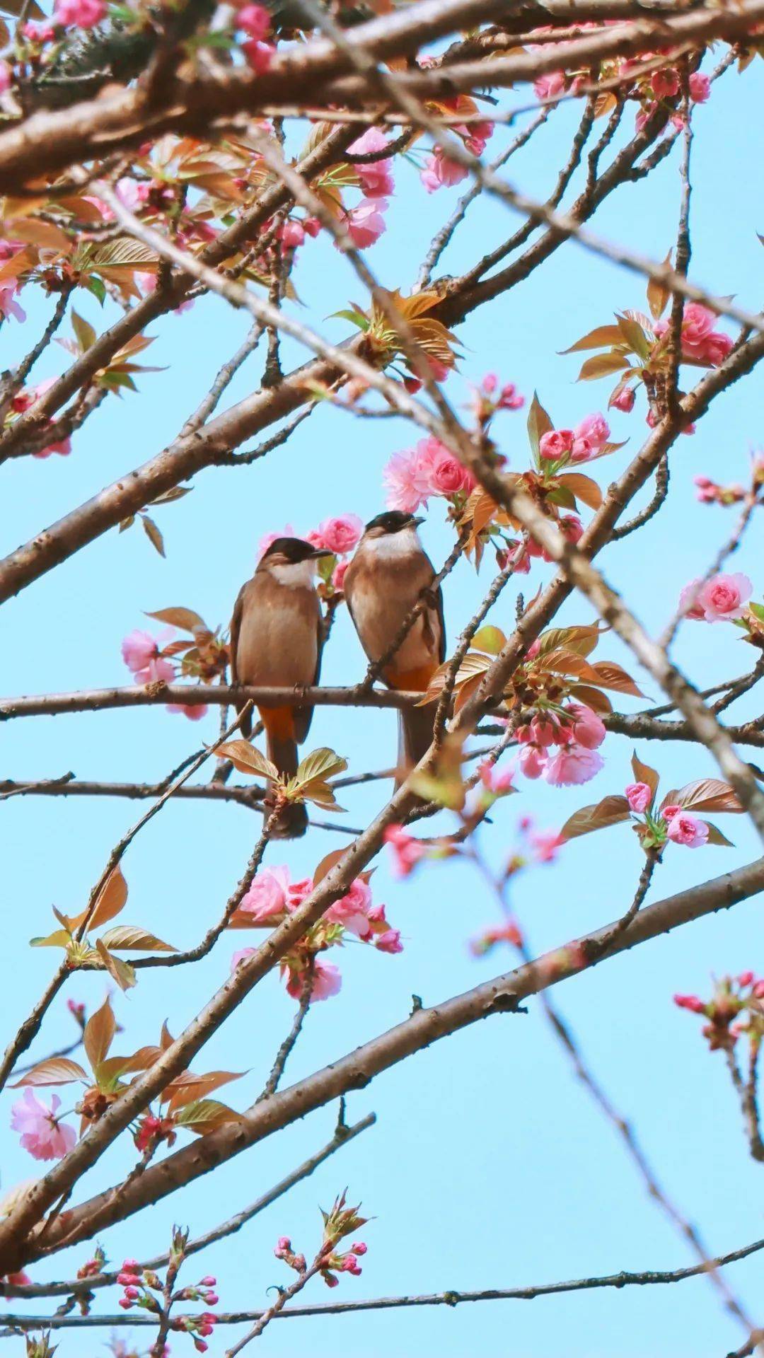 能量春天的美好都藏在这些穿搭里