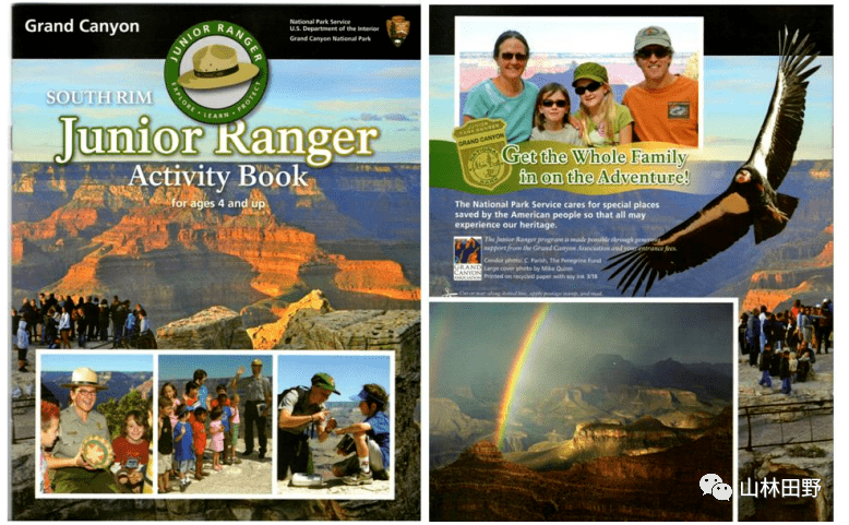 图5学生完成教案后所搜集的臂章(位于斯克里普斯的摄于伯奇水族馆)总