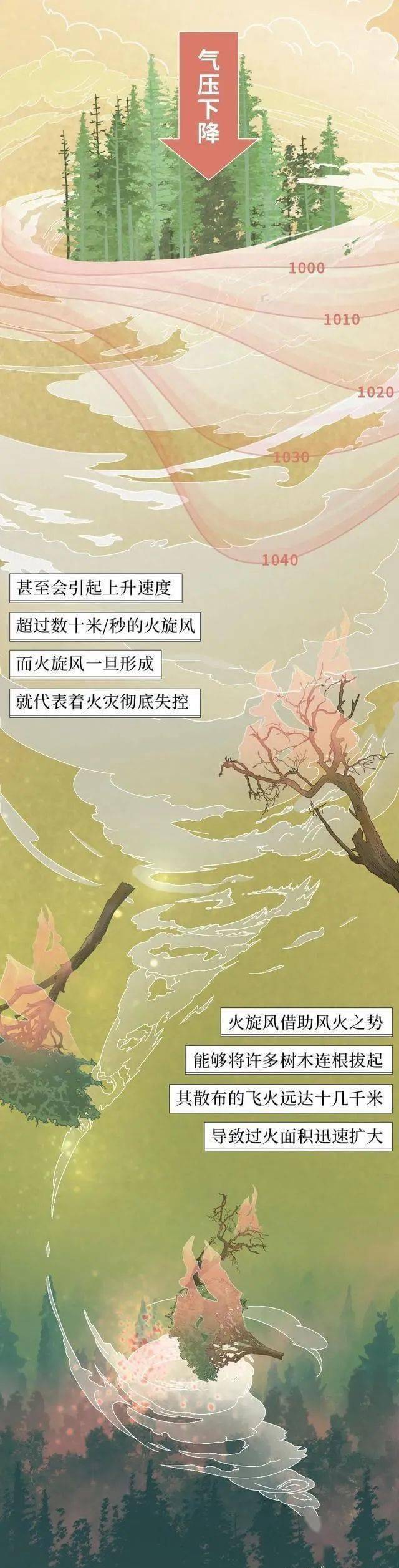 校对|森林草原防灭火丨一图搞懂森林火灾那些事