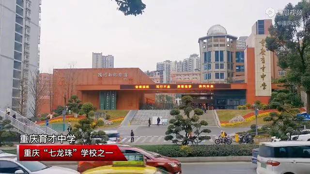 重庆七龙珠学校之一