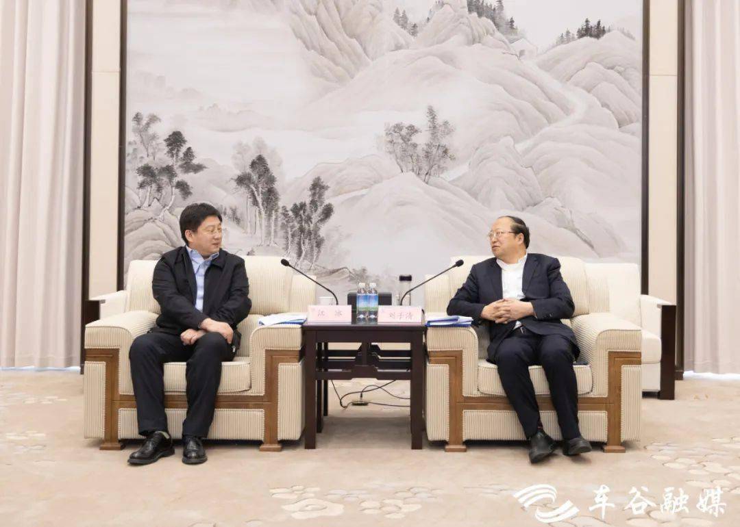 深化务实合作 刘子清唐超与三峡科技董事长江冰一行座谈_经开区_武汉