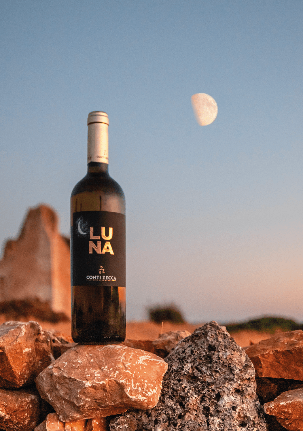 The|伯爵和他的珍酿