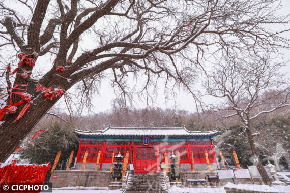 雪景|山东荣成：雪润伟德山