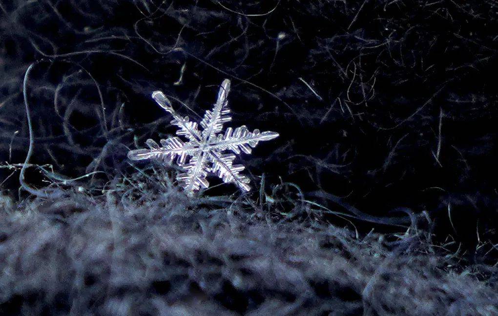 梦幻|每一片雪花，都是一个世界！微距镜头下的雪花，太梦幻了！